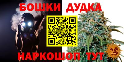 индика Малгобек