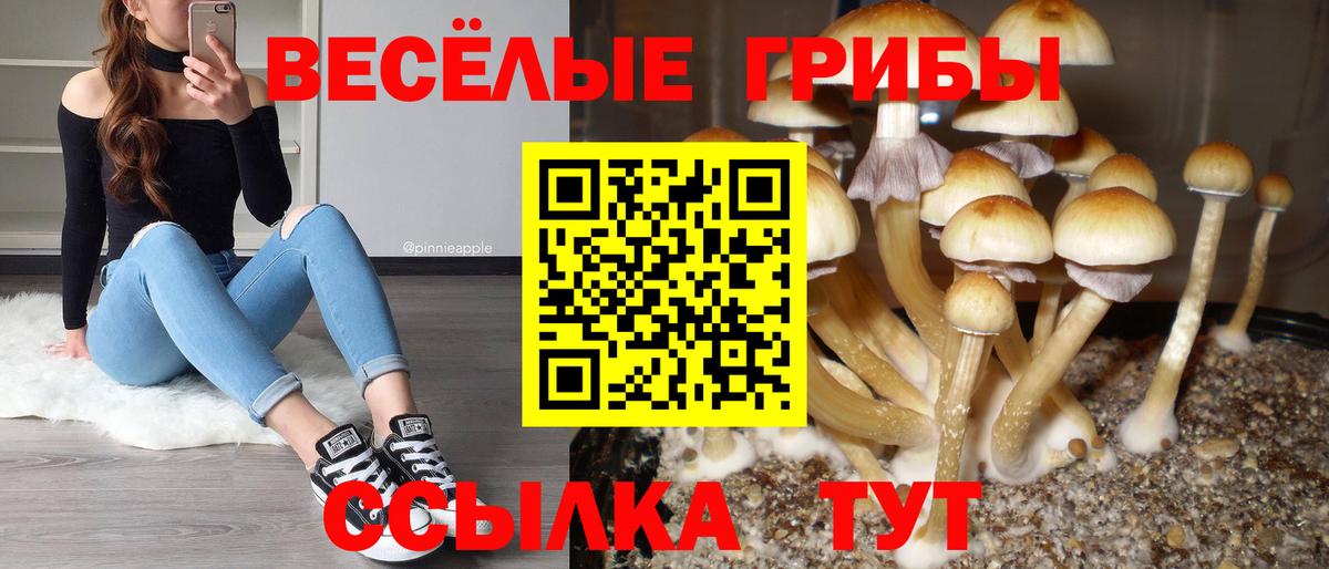 Псилоцибиновые грибы мухоморы  Вход с VPN  Карабулак 